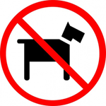 nodog