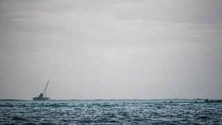 i.ytimg_.com_vi_SYDeKAG5cz4_mqdefault | Hamnen.se