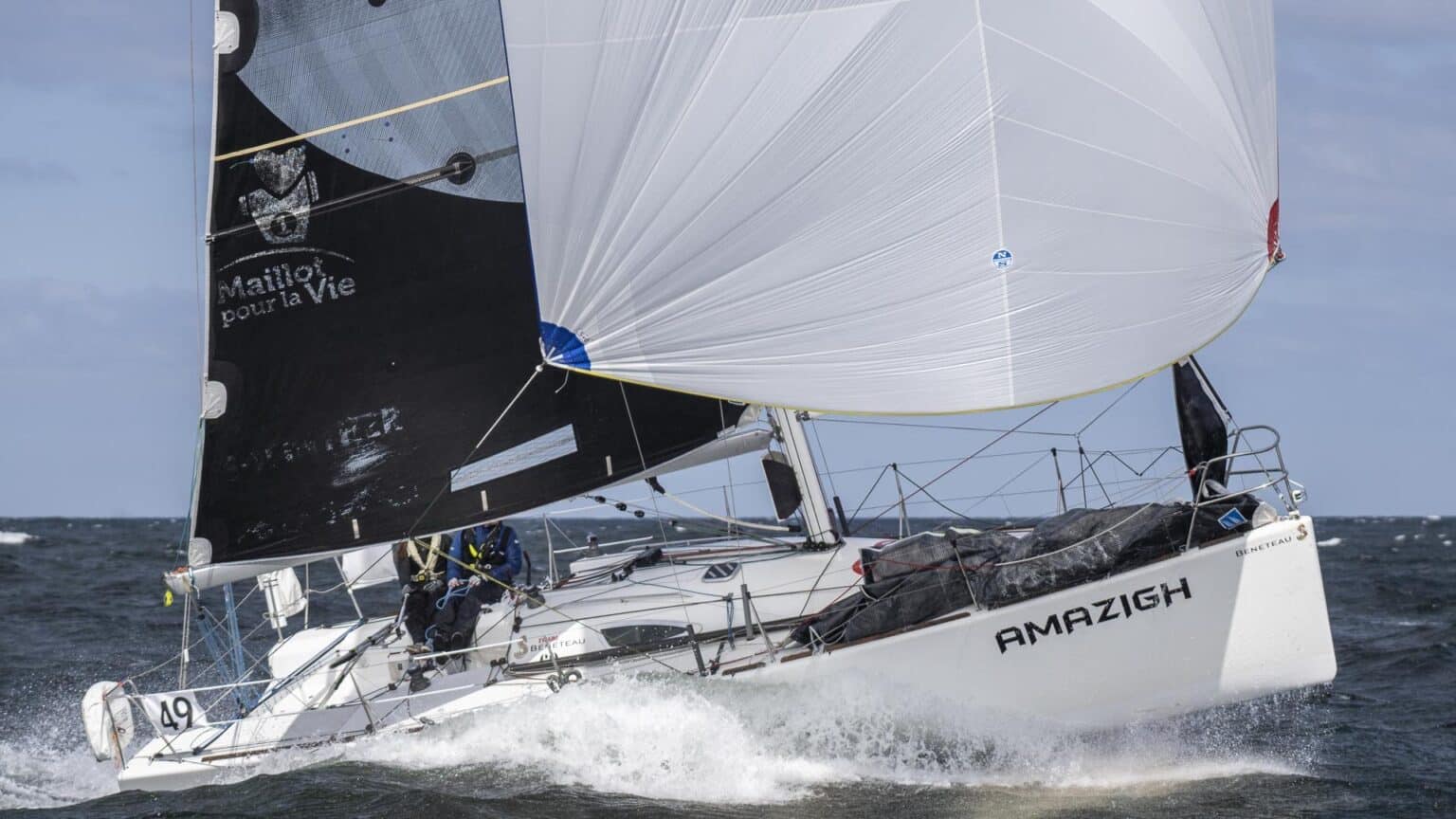 Raymarine 2Star-13