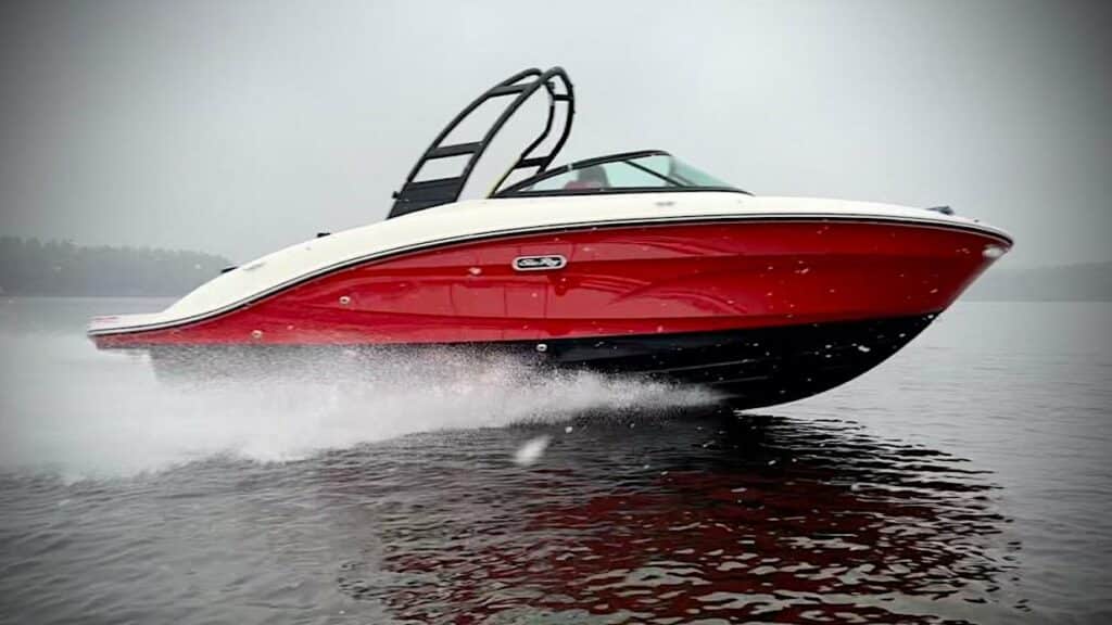 Sea Ray SPX 210 - Dusseldorf