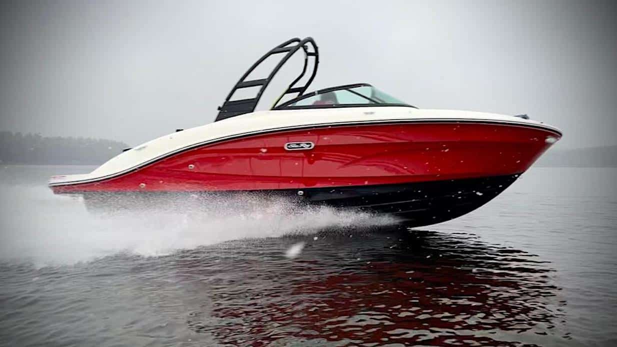 Sea Ray SPX 210 - Dusseldorf