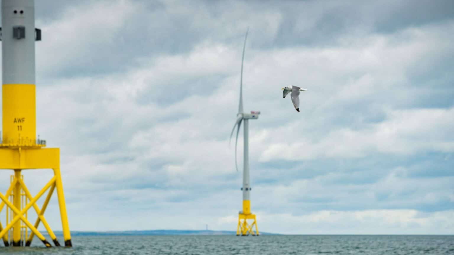 Vindkraftverk_faglar_Vattenfall