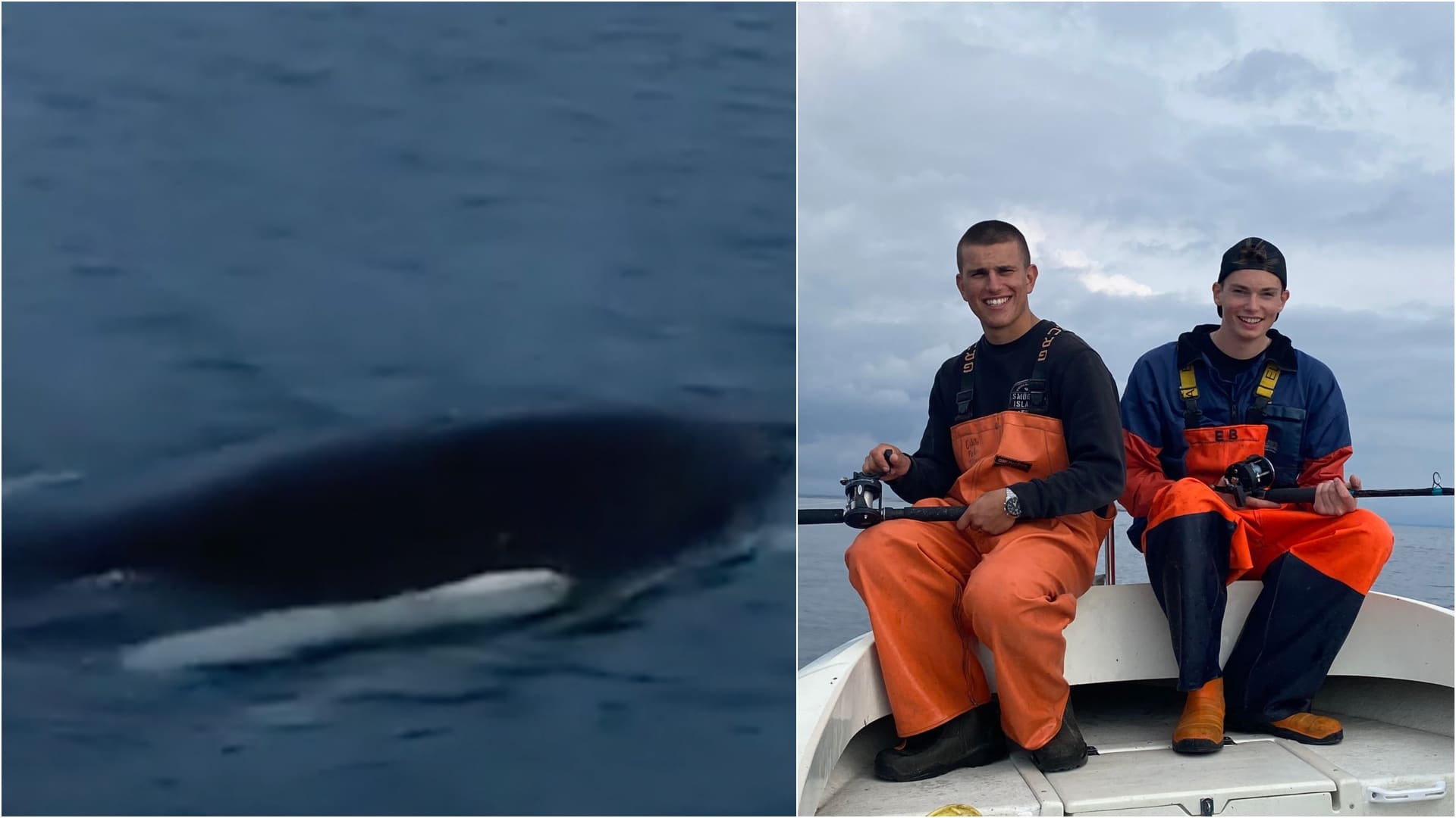 Elias och Olle mötte späckhuggare på fisketuren i Smögen