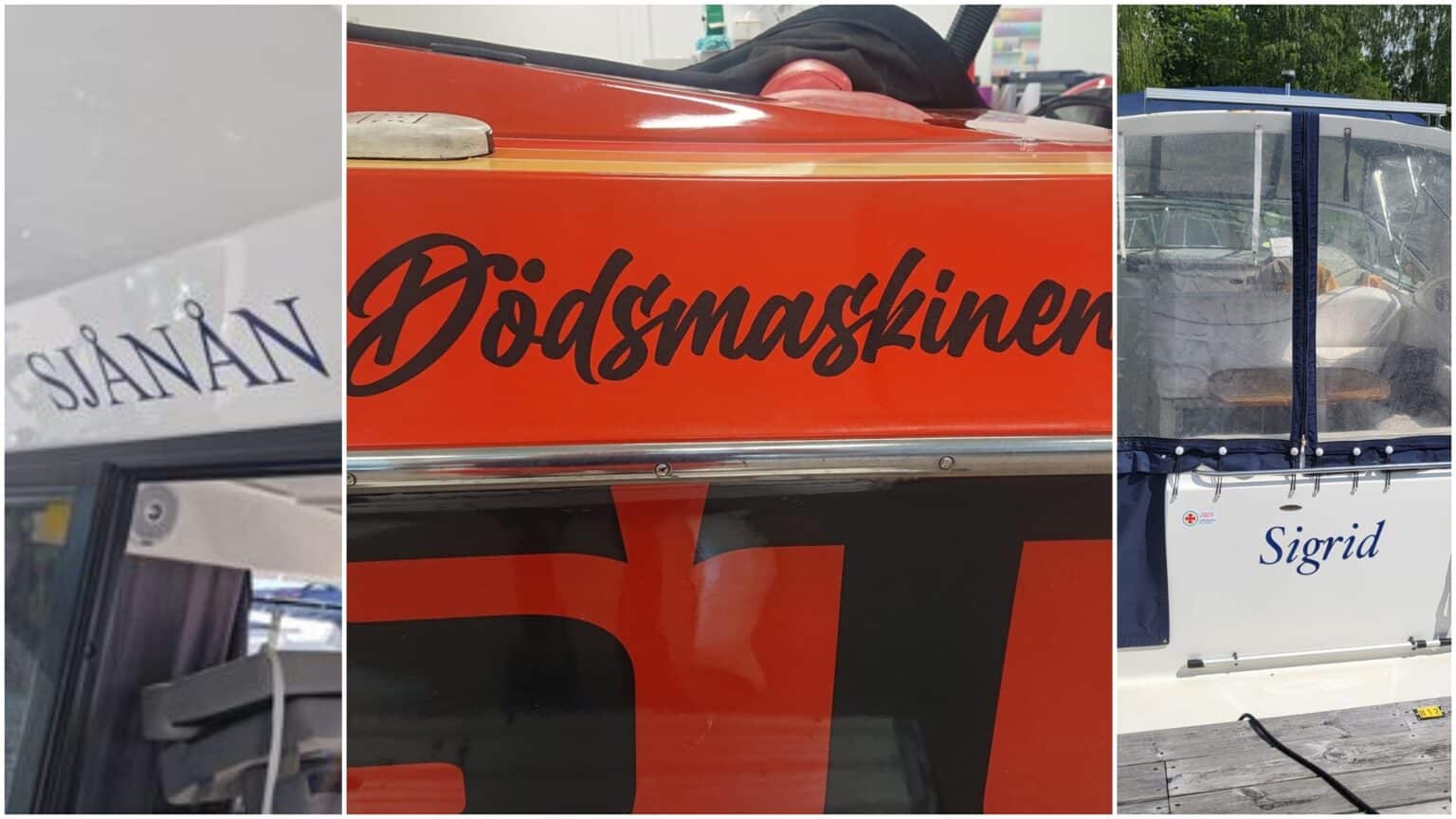 Sjånån (inskickad av Anders Jaresjö), Dödsmaskinen (inskickad av Jens Pettersson) och Sigrid (inskickad av Lars Bäck) är tre av de många namn vi fått skickade till oss. Men vilket ska ta hem vinsten?