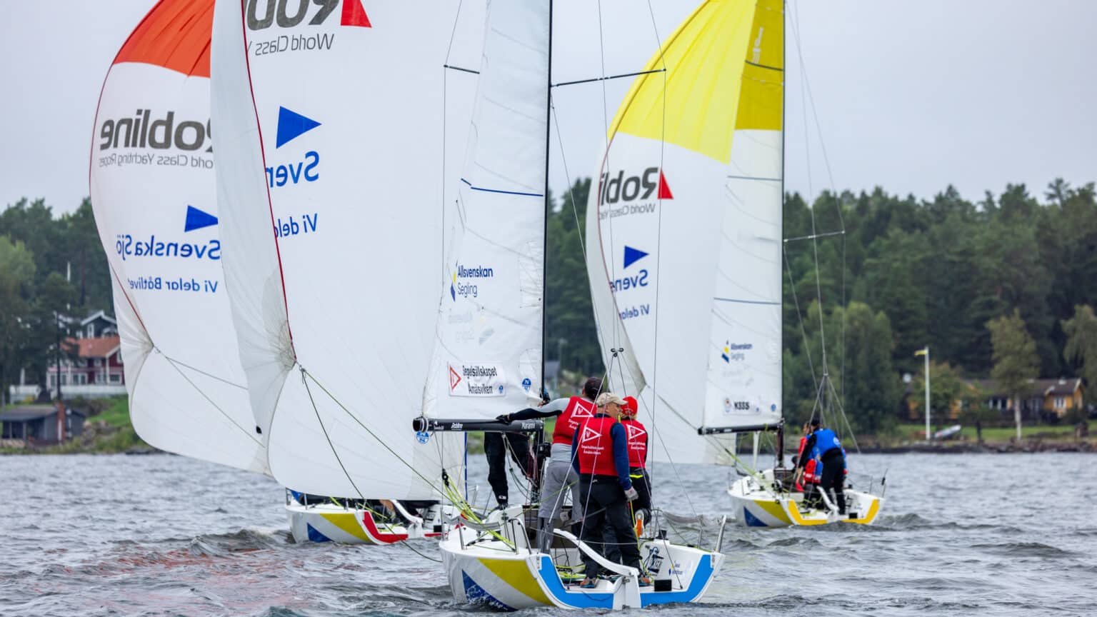 I helgen avgörs Allsvenskan Segling 2023 i Strängnäs. Fotograf: Daniel Stenholm