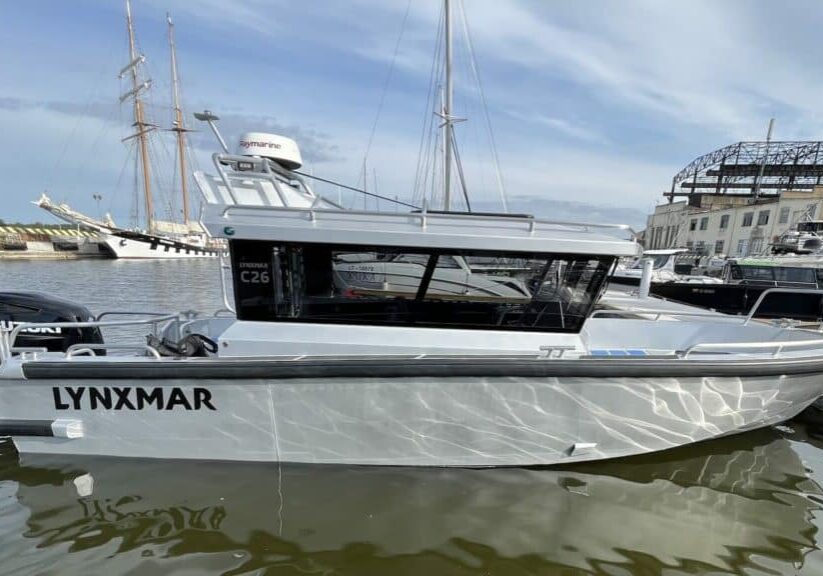 Lynxmar_C26_inledning