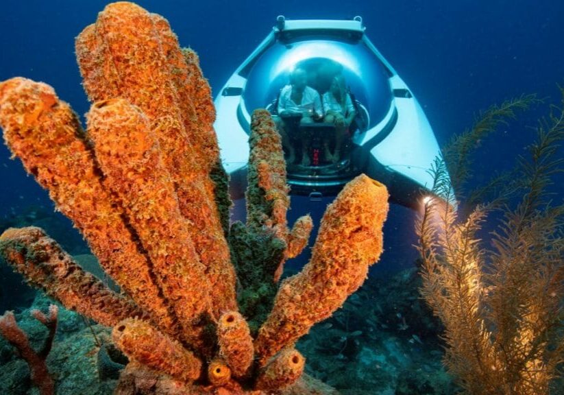 Nemo-ubat