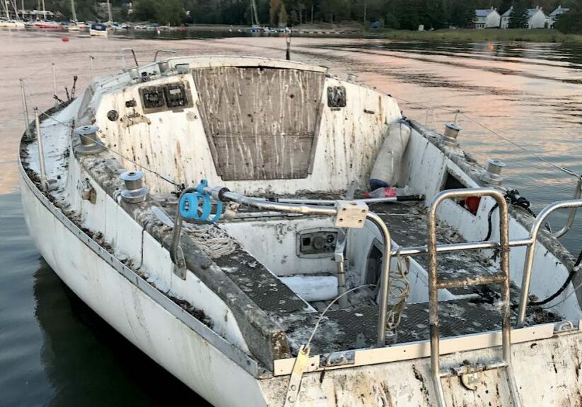 Reportage_2019_Bird_shit_Bird_shit_on_boat_2