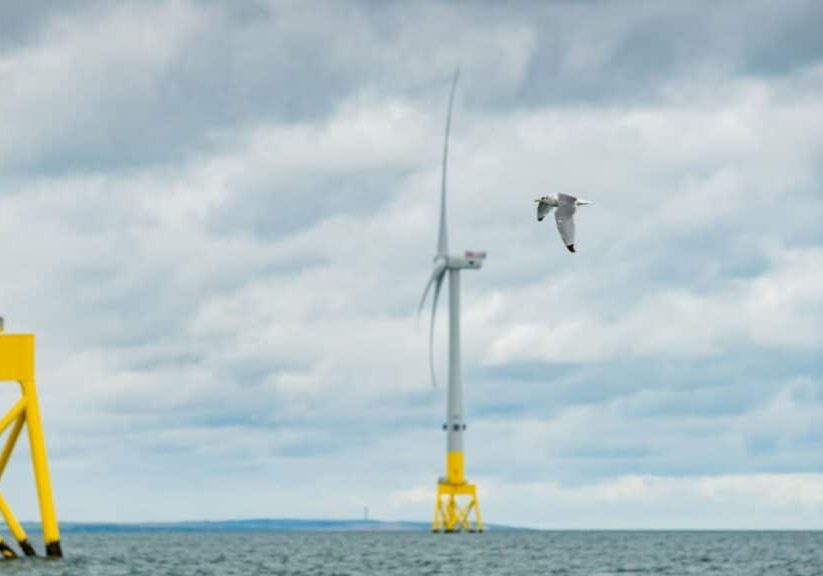 Vindkraftverk_faglar_Vattenfall